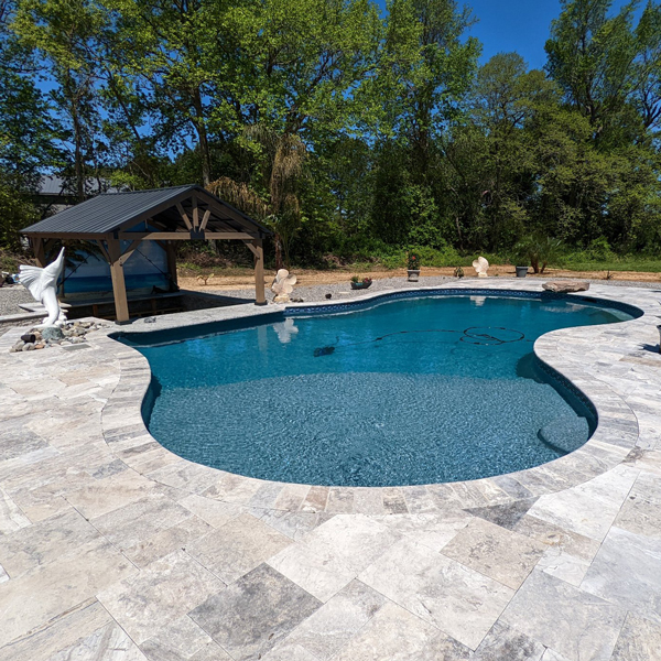 free form pool with tanning ledge and swim-up bar